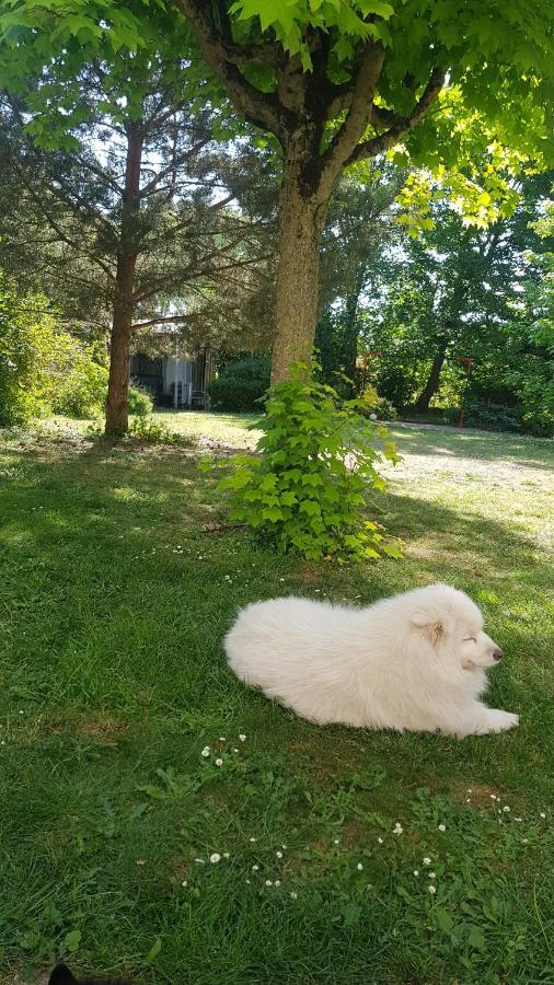 Bed and Breakfast Le Cloitre Saint-Liphard Meung-sur-Loire Exterior foto